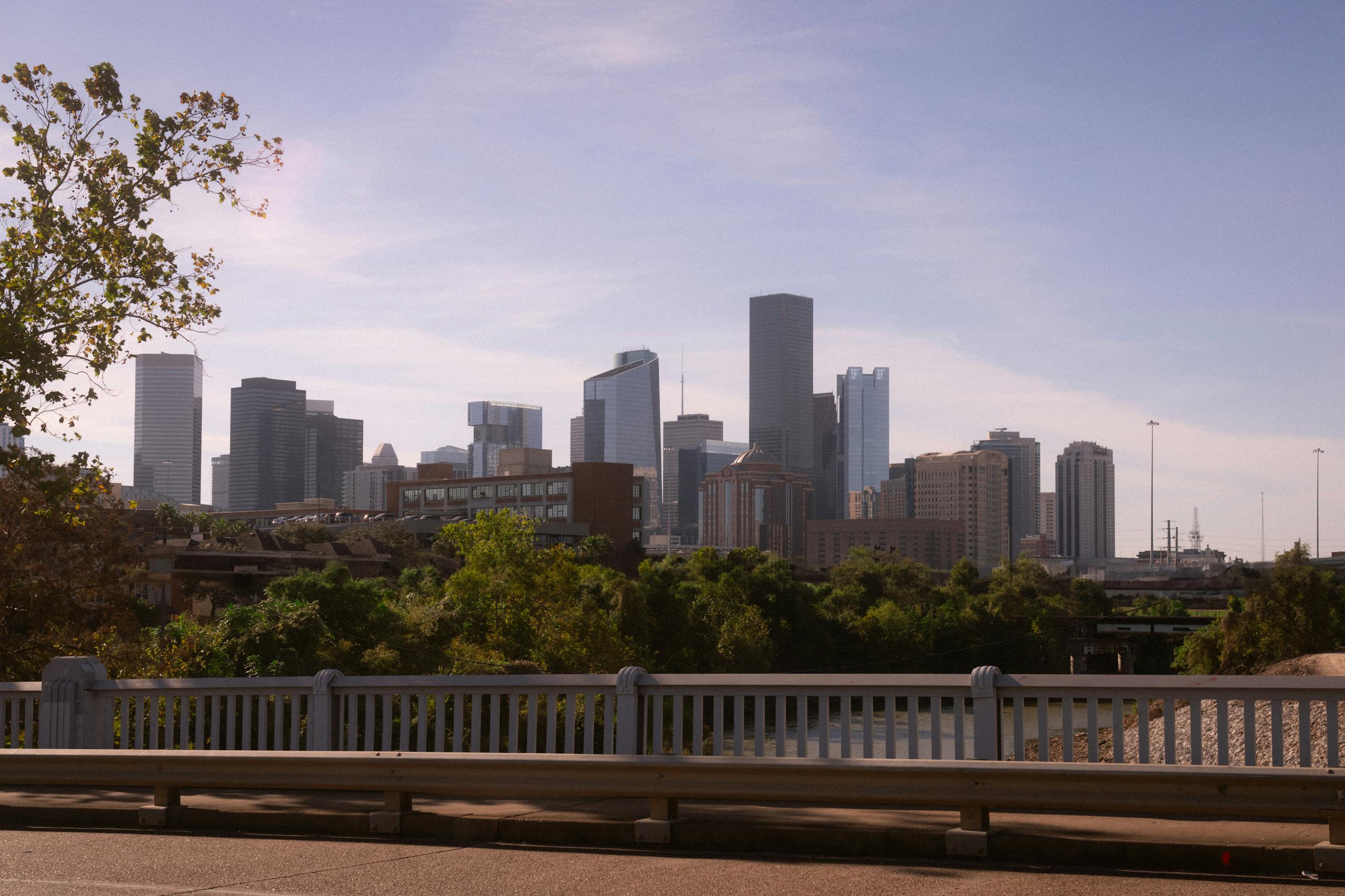 Explore the modern skyline of downtown Houston with lush greenery in the foreground.